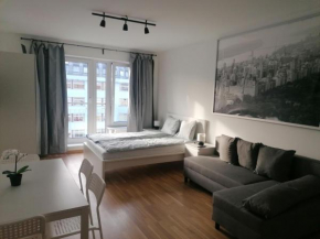 Brand new studio apartment #71 with free secure parking in the center